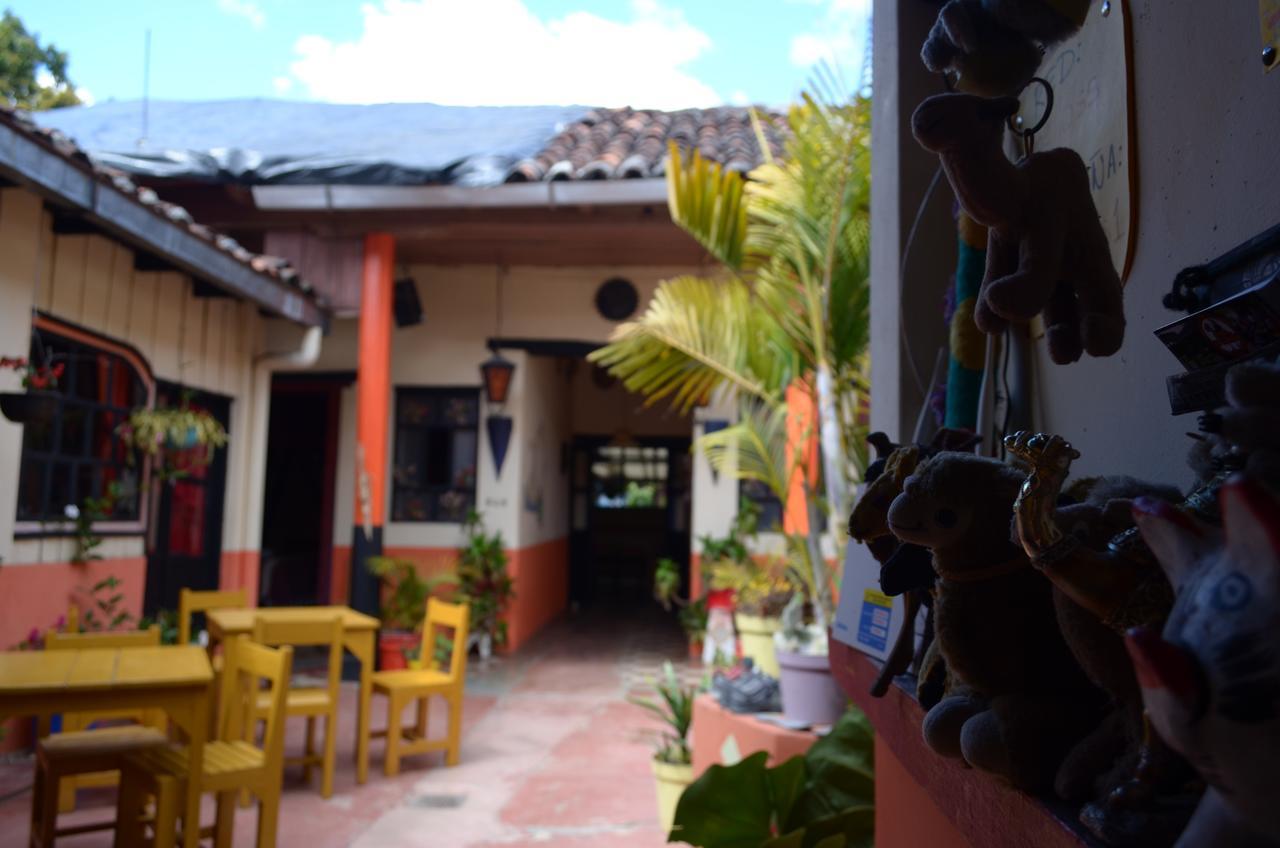 Hostal El Rincon De Los Camellos San Cristobal de las Casas Exterior photo