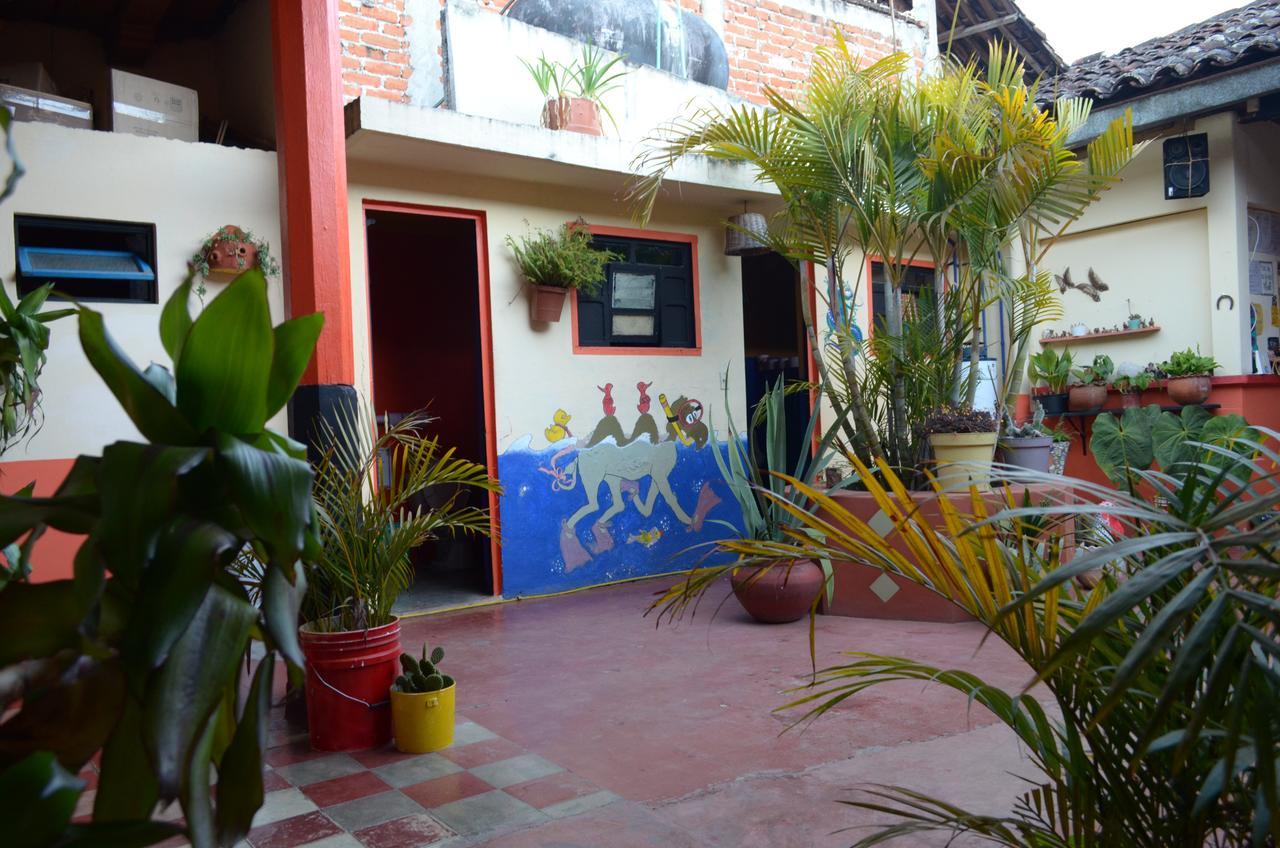 Hostal El Rincon De Los Camellos San Cristobal de las Casas Exterior photo